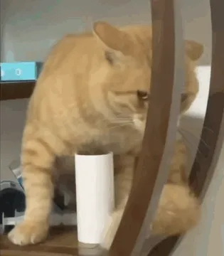 耄耋peek