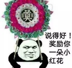 说得好奖励你朵小红花