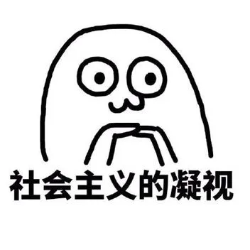社会主义的凝视