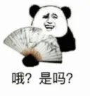 哦