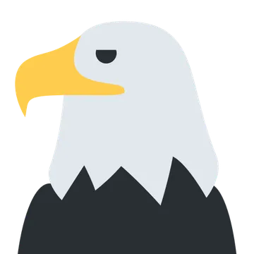 鹰
