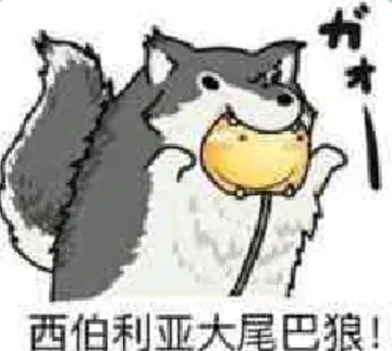 西伯利亚大尾巴狼!