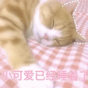 小可爱已经睡着了