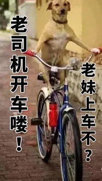 老司机开车喽.老妹上车不?