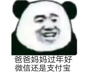中国春节00016-爸爸妈妈过年好微信还是支付宝