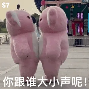 你跟谁大小声呢？（粉色考拉表情包）