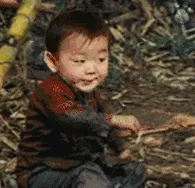宋民国叉手 GIF 动图表情包（孙一宁王思聪聊天表情包）