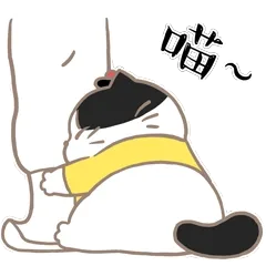 喵喵喵