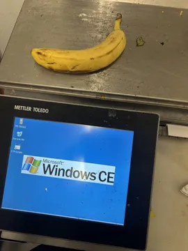 Fruit Scale Still Runs Windows CE
