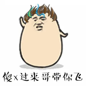 傻x过来哥带你飞