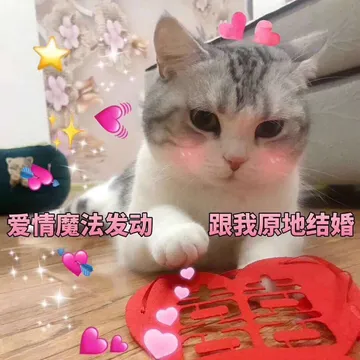 爱情的魔法发动.跟我原地结婚