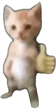 猫猫点赞表情包