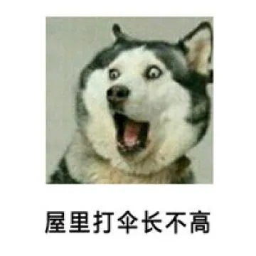哈士奇与蘑菇头和熊猫人