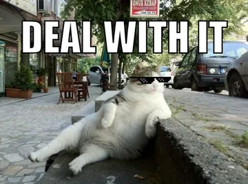 Deal with it cat