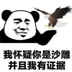 我怀疑你你沙雕并且我有证据