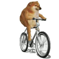 cheems柴犬动态表情包 单车