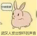 武汉人发出惊吓的声音（你合劳资）