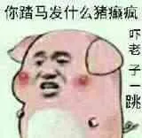 你踏马发什么猪癫疯.吓老子一跳