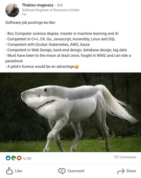 Job postings be like