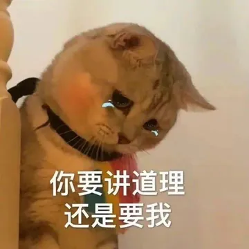 你要讲道理还是要我