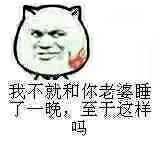 我不就和你老婆睡了一晚，至于这样吗？（猫脸）
