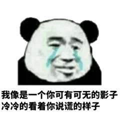 我像是一个你可有可无的影子，冷冷的看着你说谎的样子