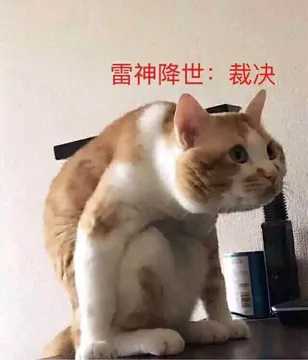 雷神降世:裁决
