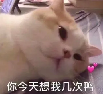 你今天想我几次鸭