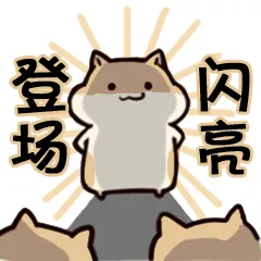 登场闪亮