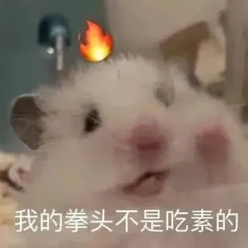 我的拳头不是吃素的(鼠鼠表情包)