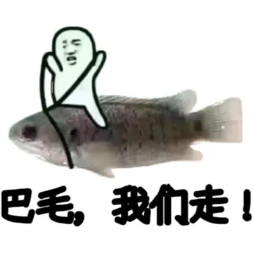 巴毛我们走