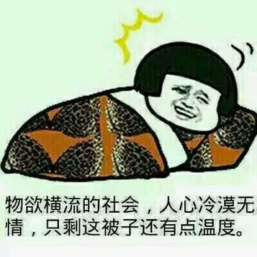 物欲横流的社会，人心冷漠无情，只剩这被子还有点温度！