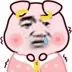晕了猪猪