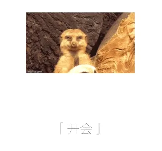开会 memes