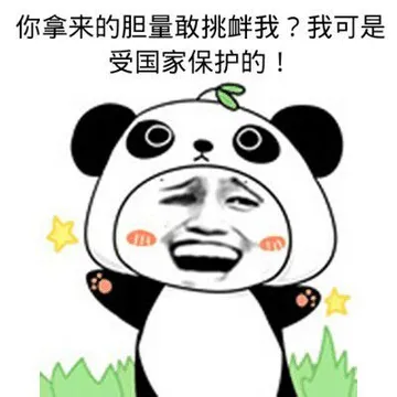 你哪来的胆量敢挑衅我?我可是受国家保护的!
