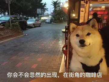 你会不会忽然的出现，在街角的咖啡店