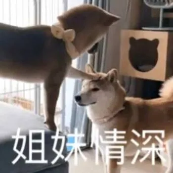 姐妹情深