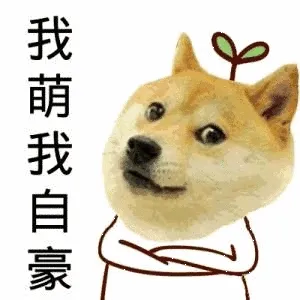 我萌我自豪多