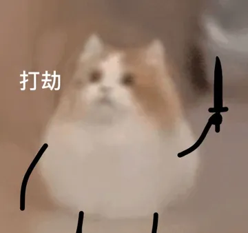 打劫