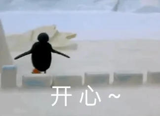 开心（转圈圈）