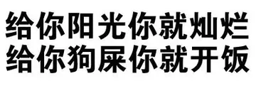 给你阳光你就灿烂，给你狗屎你就开饭