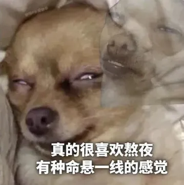 狗子：喜欢熬夜、早起、睡觉、吃饭的感觉