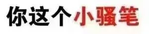 你这个小骚笔