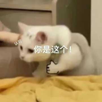 认可你是这个！