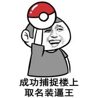 成功捕捉楼上 取名装逼王
