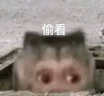 偷看(吗喽表情包)