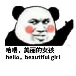 哈喽.美丽的女孩