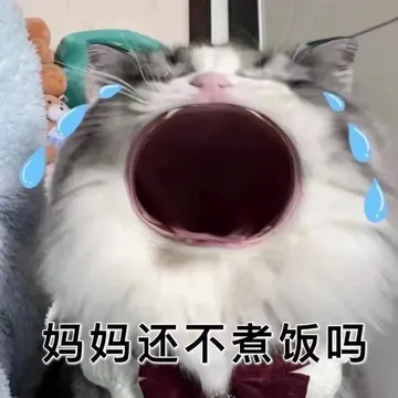 妈妈还不煮饭吗