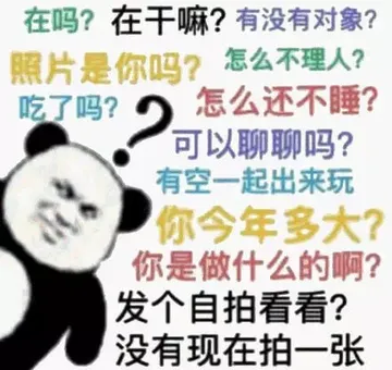 在吗？在干嘛？有没有对象？照片是你吗？怎么不理人？吃了吗？怎么还不睡？可以聊聊吗？有空一起出来玩你今年多大？你是做什么的啊？发个自拍看看？没有现在拍一张