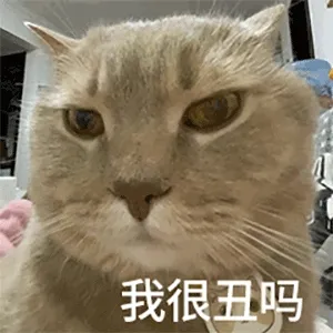 我很丑吗